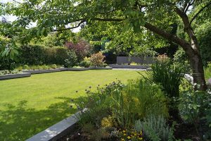 Birmingham, Garden Maintenance & Design - Lupin Gardens