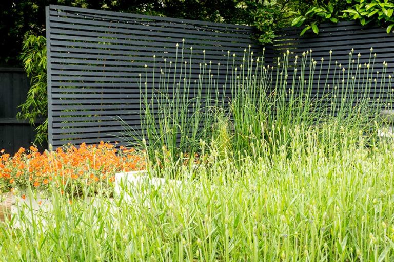 Birmingham, Garden Maintenance & Design - Lupin Gardens